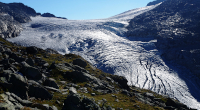 Ledovec Obersulzbachkees