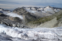 Ledovec Obersulzbachkees