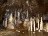 Stalagmity