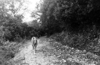 Na cestě k vrcholu Monte Tuttavista